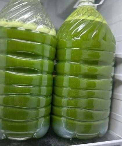 Healthy Fresh Homemade Green Juice Recipe